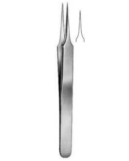 Dissecting Scissors