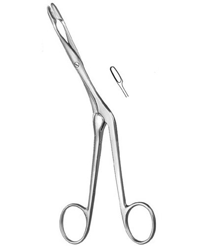 Septum Forceps