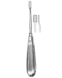 Septum Forceps